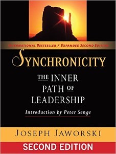 LEADERSHIP - Synchronicity