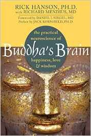 WHOLE PERSON - Buddha's Brain